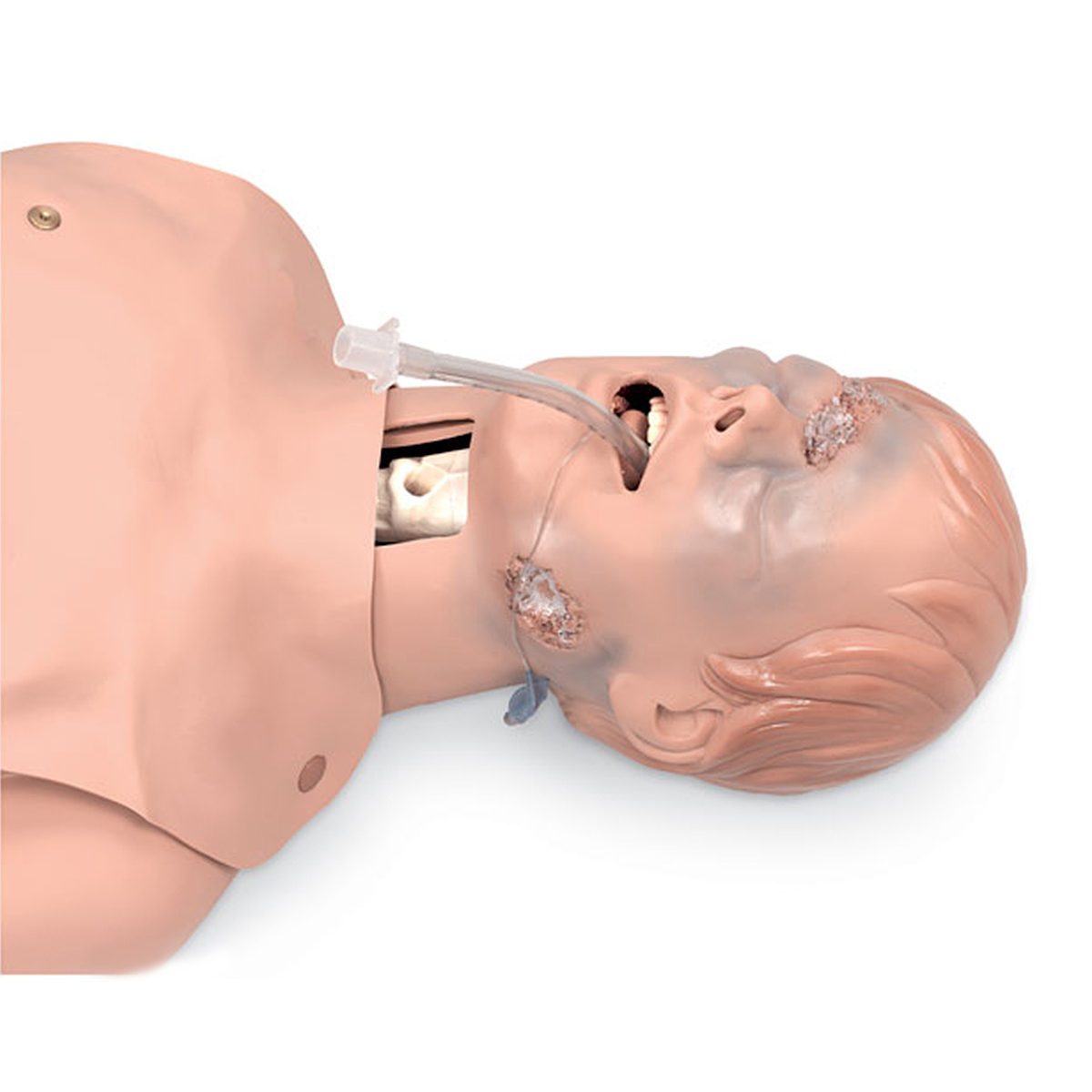 Тренажер для действий на дыхательных путях в
критических состояниях