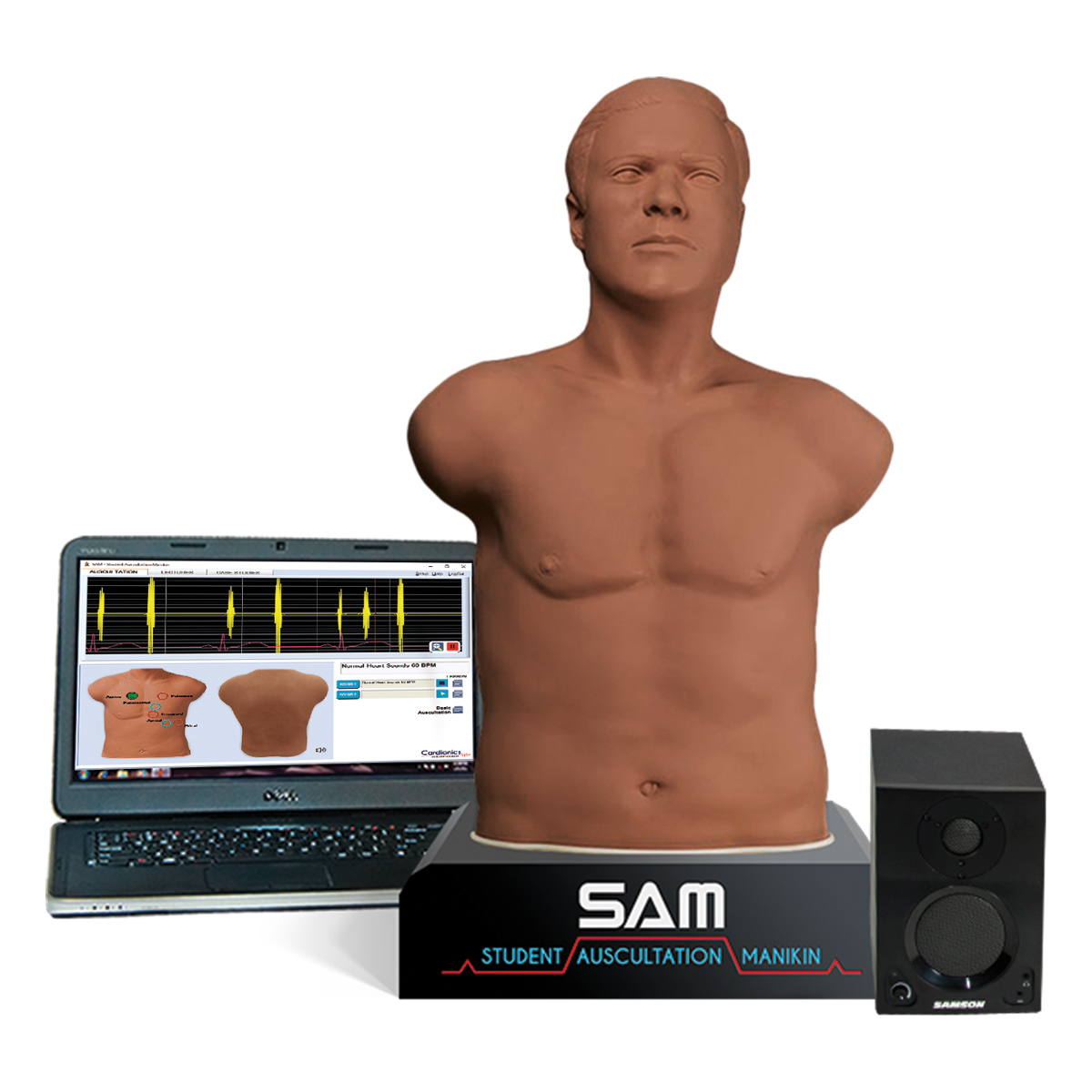 Манекен для отработки навыков аускультации SAM 3G® темная кожа
