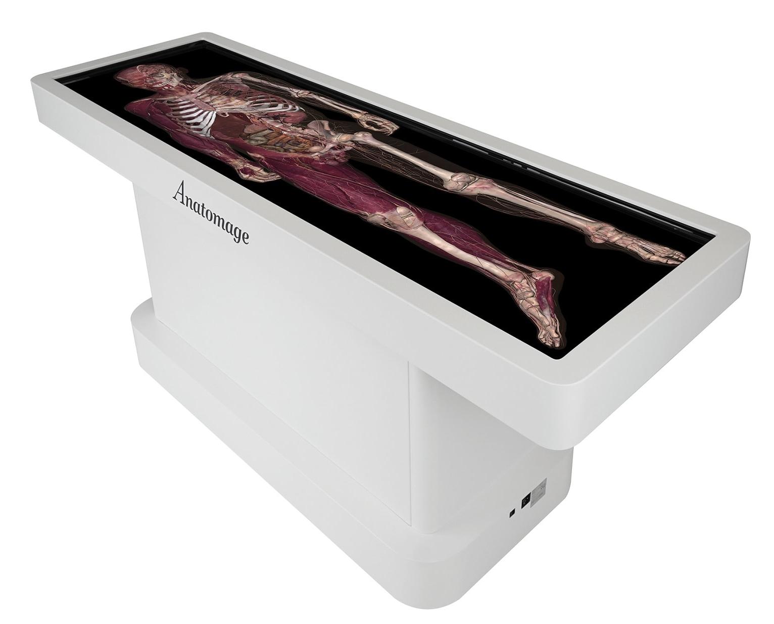 Anatomage Table - виртуальный интерактивный анатомический стол (Анатомаж)